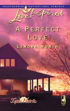 Book cover of A Perfect Love