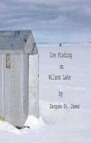 Cover of the book Ice Fishing at Wilson Lake by Andrey Davydov, Olga Skorbatyk