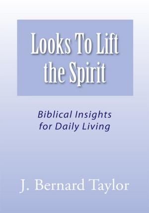 Cover of the book Looks to Lift the Spirit by Paul John Moronczyk
