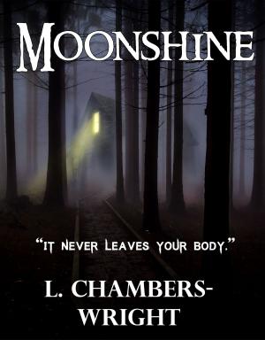 Cover of the book Moonshine by Marc Johnson