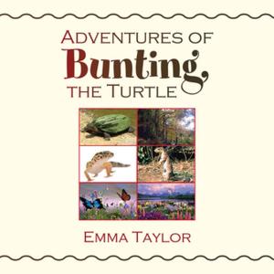Cover of the book Adventures of Bunting, the Turtle by Paul Gage