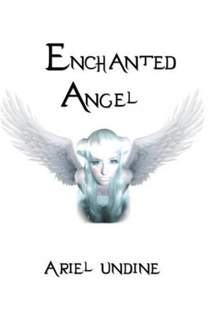 Cover of the book Enchanted Angel by Rev Joseph Adebayo Awoyemi