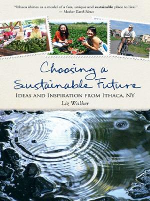 Cover of the book Choosing A Sustainable Future by Jenni Blackmore