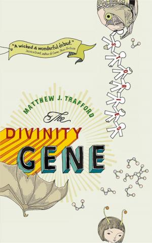 Cover of the book The Divinity Gene by Peter S. Grant, Chris Wood