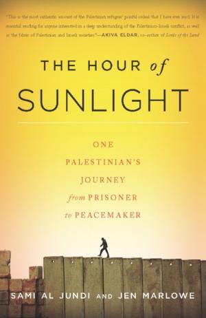 Book cover of The Hour of Sunlight