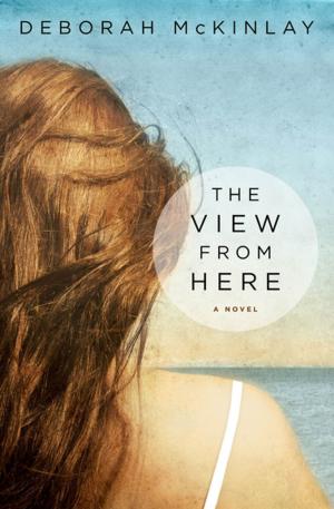 Cover of the book The View from Here by Ted Lewis, Derek Raymond