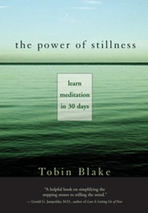 Cover of the book The Power of Stillness by Dan Millman
