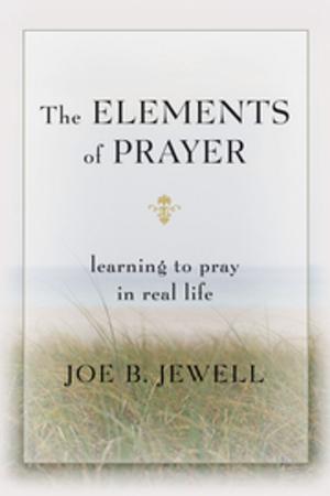 Cover of the book The Elements of Prayer by Haven Treviño