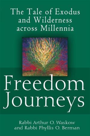 Book cover of Freedom Journeys: The Tale of Exodus and Wilderness across Millennia