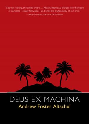 Cover of the book Deus Ex Machina by Leslie Zemeckis