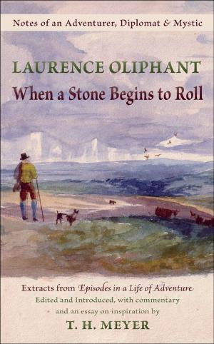 Book cover of When a Stone Begins to Roll