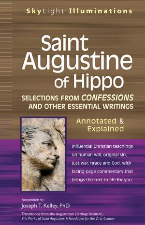 Cover of the book Saint Augustine of Hippo by Brian Clegg