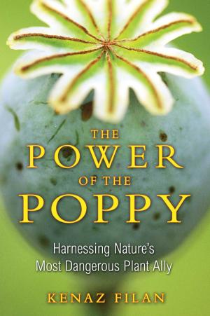 Cover of the book The Power of the Poppy by Marie-Antoinette Tichler
