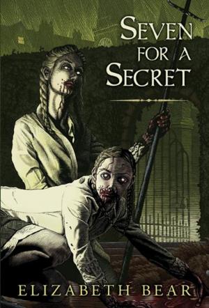 Cover of the book Seven for a Secret by Elizabeth Bear