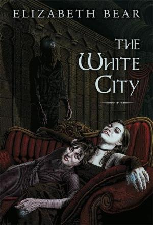 Cover of the book The White City by Robert Silverberg
