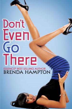 Cover of the book Don't Even Go There by Leslie J. Sherrod