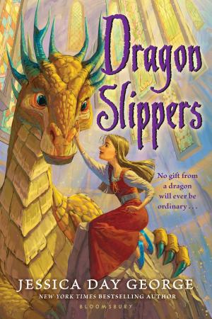 Book cover of Dragon Slippers
