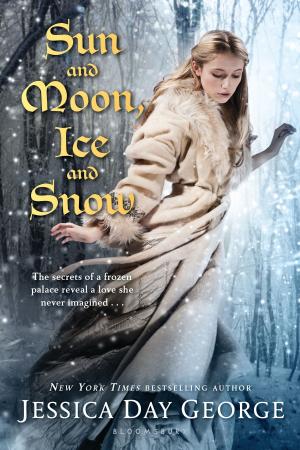 Cover of the book Sun and Moon, Ice and Snow by Prof Michael Balfour, Dr Sheila Preston