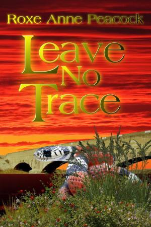 Cover of the book Leave No Trace by Marsha Briscoe