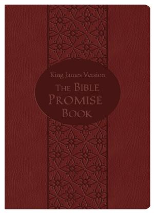Cover of the book Bible Promise Book Gift Edition (KJV) by Lauralee Bliss, Ramona K. Cecil, Dianne Christner, Melanie Dobson, Jerry S. Eicher, Olivia Newport, Rachael O. Phillips, Claire Sanders, Anna Schmidt
