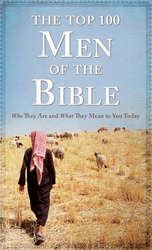 Cover of the book Top 100 Men of the Bible by Bonnie Blythe, Pamela Griffin, Kelly Eileen Hake, Gail Gaymer Martin, Tamela Hancock Murray, Jill Stengl