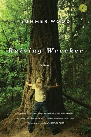Cover of the book Raising Wrecker by H. R. F. Keating