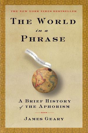 Cover of the book The World in a Phrase by Ian Smith, Professor Janet Ulph