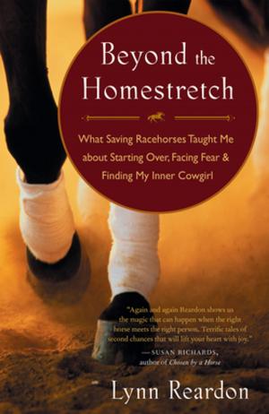 Cover of the book Beyond the Homestretch by Gary Kowalski