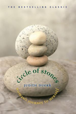 Cover of the book Circle of Stones by Amelia Kinkade