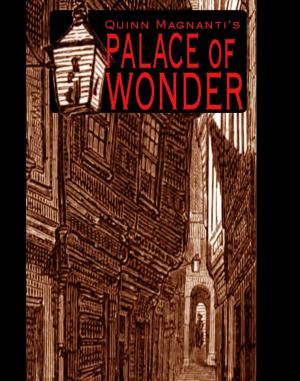 Cover of the book The Palace of Wonder by Scott Harrison