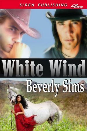 Cover of the book White Wind by Jennifer Denys