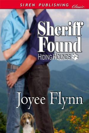 Cover of the book Sheriff Found by Jane Perky