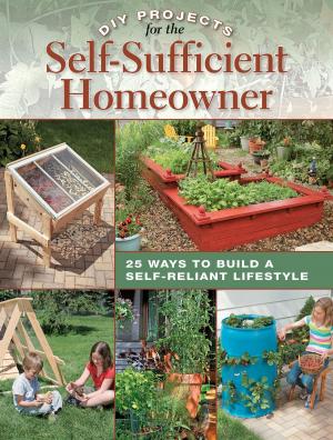 Cover of the book DIY Projects for the Self-Sufficient Homeowner: 25 Ways to Build a Self-Reliant Lifestyle by Susan Stein, Sharon Hultgren