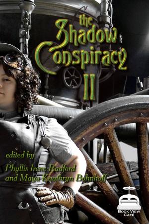 Cover of the book The Shadow Conspiracy II by Marie Brennan