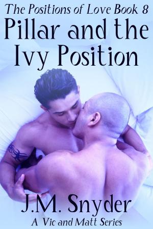 bigCover of the book Pillar and Ivy Position by 