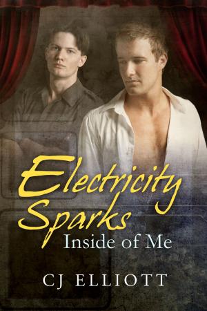 Cover of the book Electricity Sparks Inside of Me by MC Lee