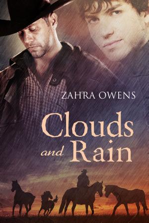 Cover of the book Clouds and Rain by Liv Olteano