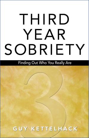 Cover of the book Third Year Sobriety by Shannon Sonneveldt
