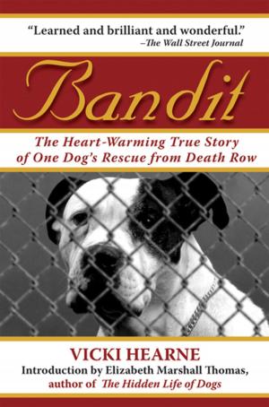 Cover of the book Bandit by David Adams Richards