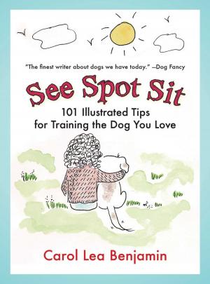 Cover of the book See Spot Sit by 
