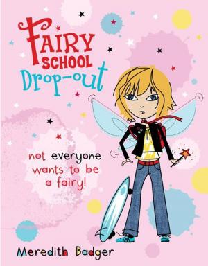 Book cover of Fairy School Drop-out