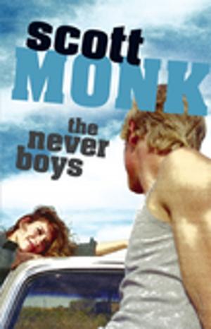 Book cover of The Never Boys