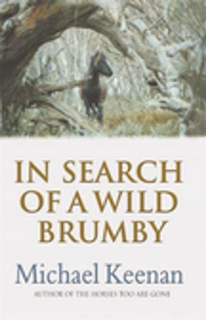 Cover of the book In Search Of A Wild Brumby by Penni Russon