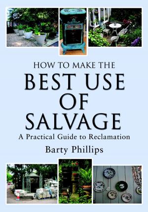 Book cover of How to Make the Best Use of Salvage