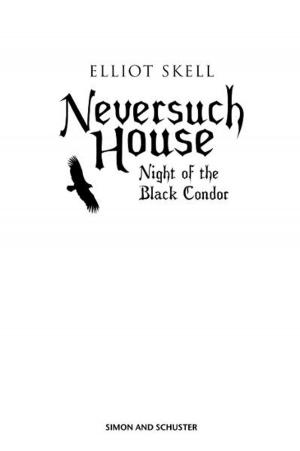 Cover of the book Neversuch House by Jane Clarke