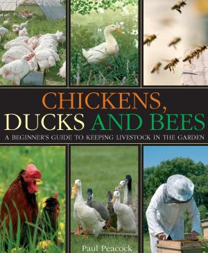 Cover of the book Chickens, Ducks and Bees by Kristina Downing-Orr