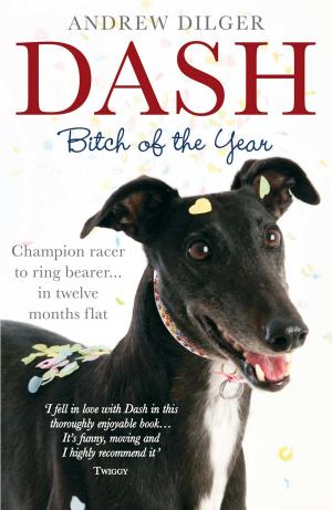Cover of the book Dash: Bitch of the Year by Mike Haskins, Clive Whichelow