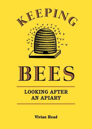 Book cover of Keeping Bees