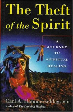 Cover of Theft of the Spirit