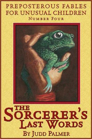 Cover of the book THE SORCERER'S LAST WORDS by Judd Palmer